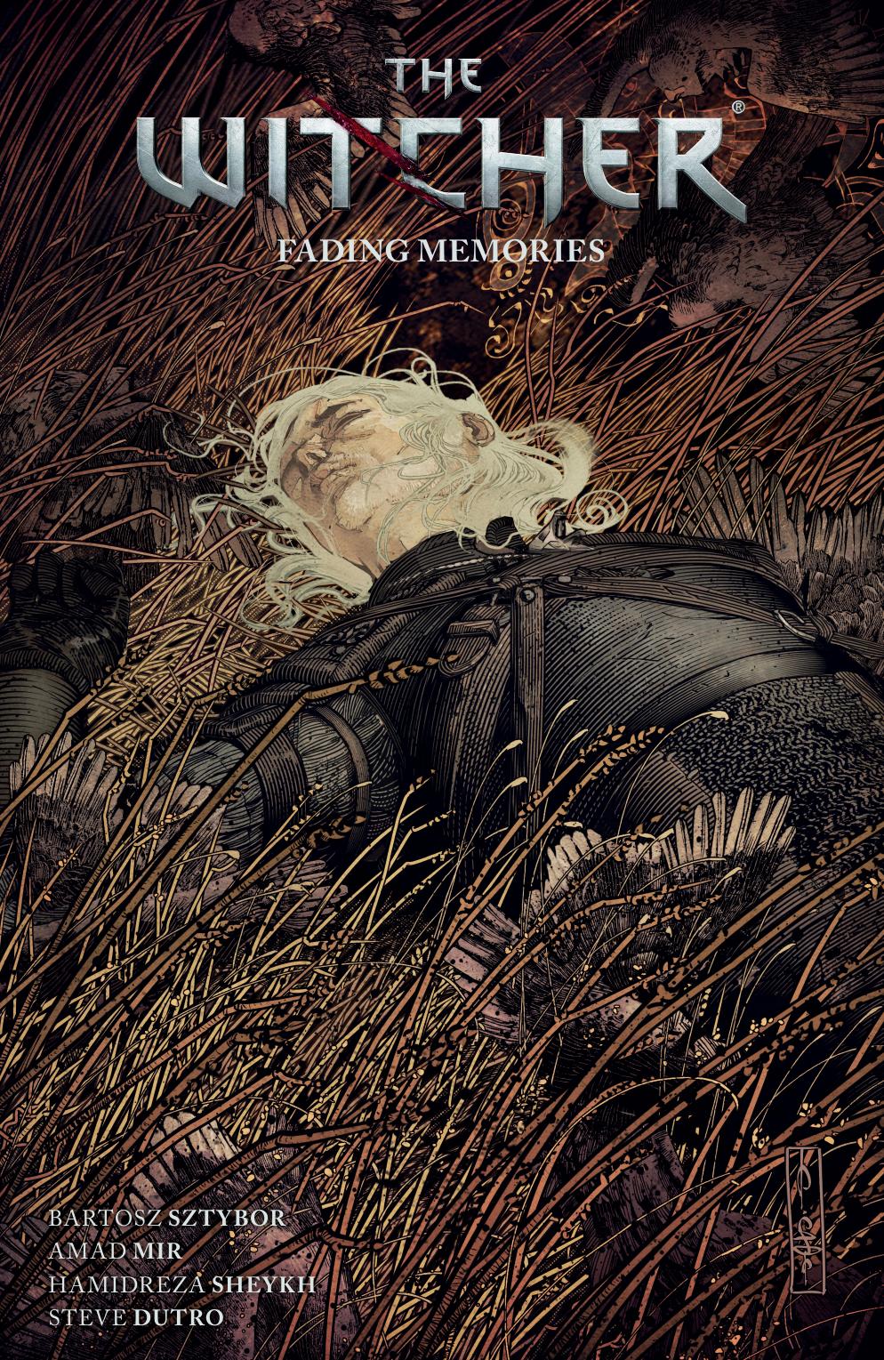 witchervolume5 fadingmemories